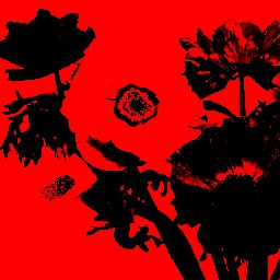 Warhol Red 01